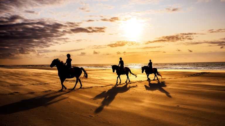 Horse Riding at Sunset